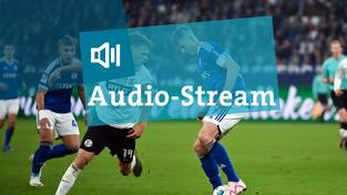 Audio-Stream: Spiel der SV Elversberg (Foto: IMAGO / Team 2)